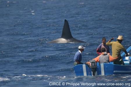 ksar sghir naual tarifa tanger